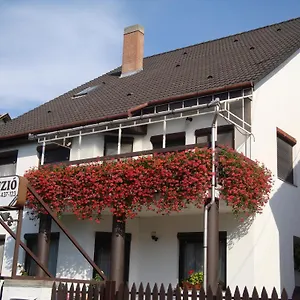 https://anna-panzio-szeged.szeged-hotels.com