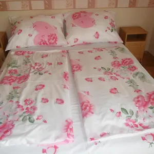 https://emese-apartman.hotels-hajduszoboszlo-hungary.com